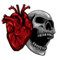 hand drawn skull doodle vector image