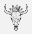 bull skull with feathers native americans tribal vector image