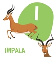 funny cartoon animals alphabet letter set vector image