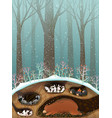 animals sleeping in dens and burrows in forest vector image vector image