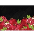 pomegranate composition on chalkboard vector image