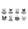 chicken label set food poultry farm meat egg vector image