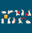 rabbit chinese zodiac set vector image
