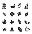 silhouette herb icons set vector image