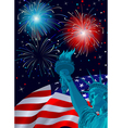 freedom celebration vector image
