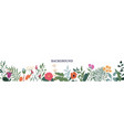 horizontal banner with bright beautiful colors vector image