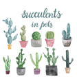 set of cactus and succulents isolated on white vector image