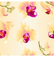 seamless texture yellow orchid phalaenopsis vector image