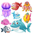 different types of sea animals vector image