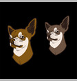 dog vector image