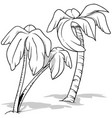 drawing of a set coconut palms vector image vector image