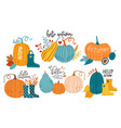 hello autumn fall season pumpkin set vector image