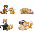 dog and cat cartoon characters together vector image