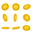 leprechaun coins set vector image