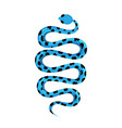 banded sea krait blue snake tropical toxic vector image vector image