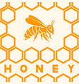 honey bee silhouette on honeycomb background vector image vector image