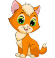 funny redhead kitten vector image