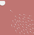 spermatozoon semen floating to ovule vector image