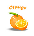 whole and slice oranges vector image