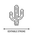 saguaro cactus linear icon vector image