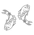 stylized fish vector image vector image