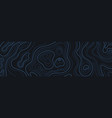topographic panoramic map vector image vector image
