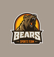 modern professional grizzly bear logo vector image vector image