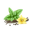 realistic spices simple composition vanilla vector image vector image