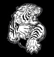animals angry tiger drawing on black background vector image vector image