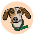 cartoon dog head vector image