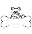 cute little dog pet with bone vector image