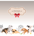 dogs vector image vector image