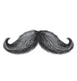 hand drawn realistic vintage retro mustache vector image vector image