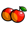 red apples on a white background vector image