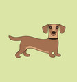 sweet little dachshund vector image