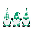 st patricks day green leprechaun gnomes shamrock vector image