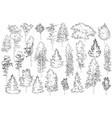 set of coniferous and deciduous trees vector image vector image
