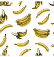 banana fruit seamless pattern hand drawn with ink vector image