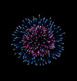 beautiful firework couple romantic salute vector image