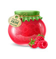raspberry jam in the glass jar vector image vector image