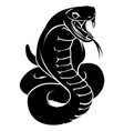 stylized snake vector image vector image