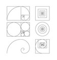 golden ratio template fibonacci vector image vector image