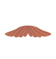 mustache whisker isolated on white background vector image vector image