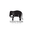 elephant logo and symbols template app vector image