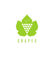 grapes logo winemaking mark bunch of vector image