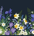 floral seamless border vector image