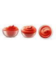 ketchup in bowl top and side view isolated set vector image