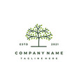 vibrant tree logo design life vector image