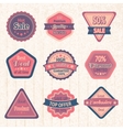vintage sale labels and badges set vector image