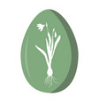 painted easter egg decorated with white snowdrop vector image vector image